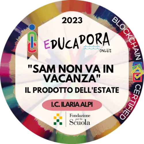 Badge pubblico 15501